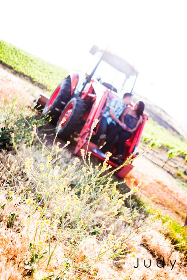 jpblog-dm-009