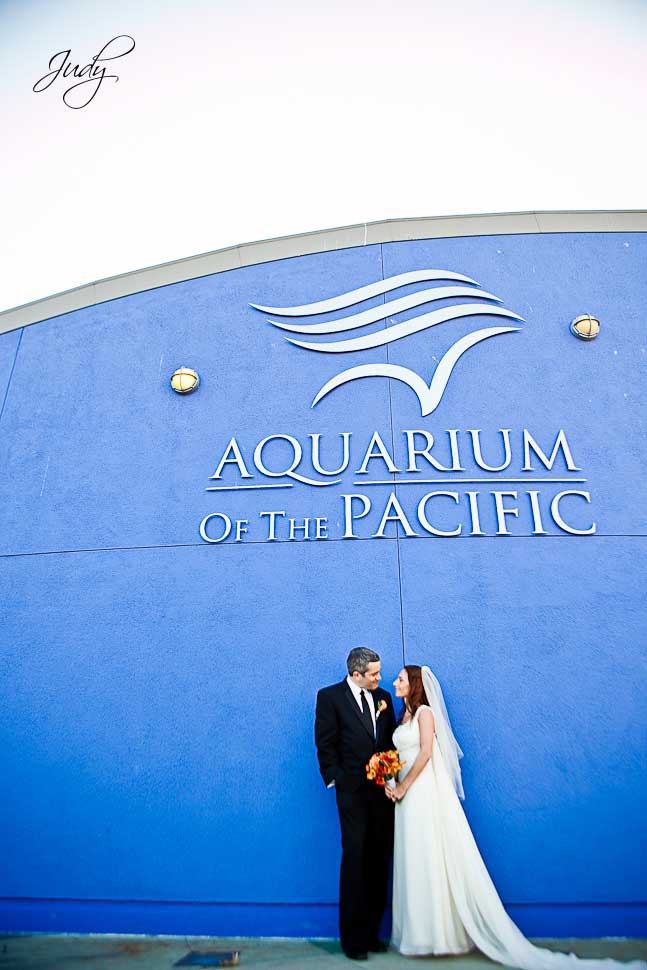 Aquarium of the Pacific Wedding Photography