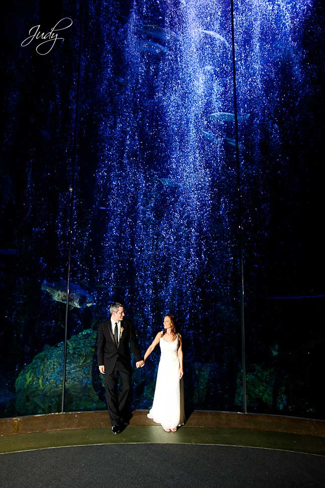 Aquarium of the Pacific Wedding Photography