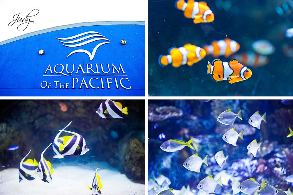 Aquarium of the Pacific Wedding Ceremony Details
