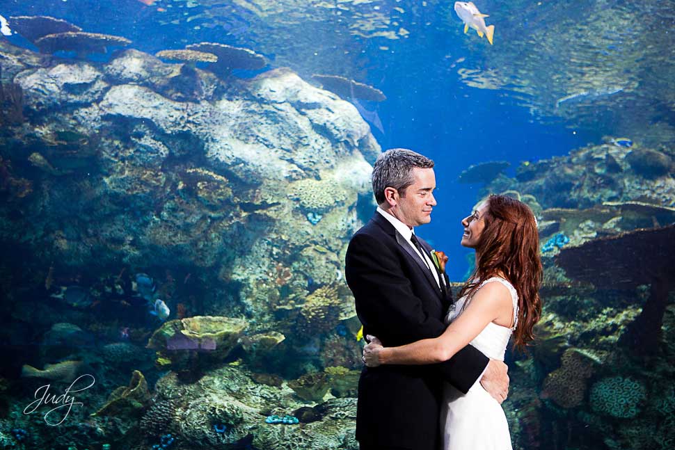 Aquarium of the Pacific Wedding Photography