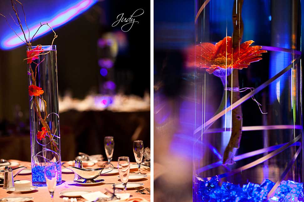 Aquarium of the Pacific Wedding Reception
