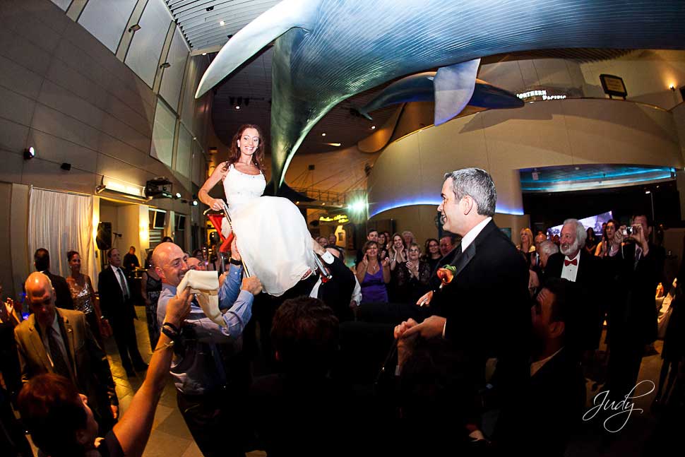 Aquarium of the Pacific Wedding Reception