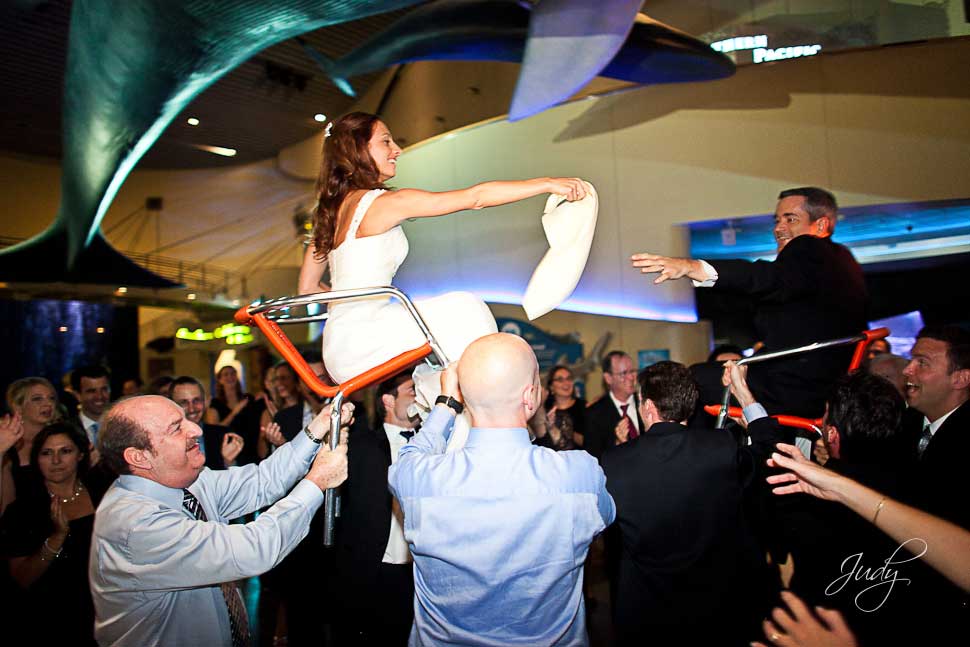 Aquarium of the Pacific Wedding Reception