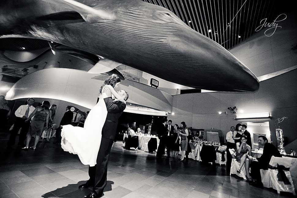 Aquarium of the Pacific Wedding Reception