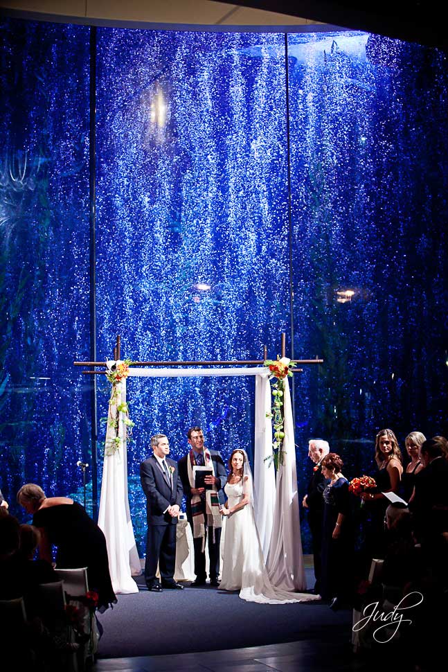 Aquarium of the Pacific Jewish Wedding Ceremony