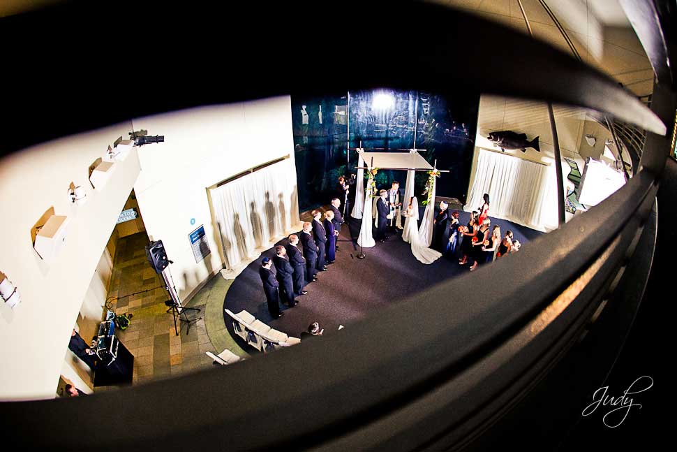 Aquarium of the Pacific Wedding Ceremony