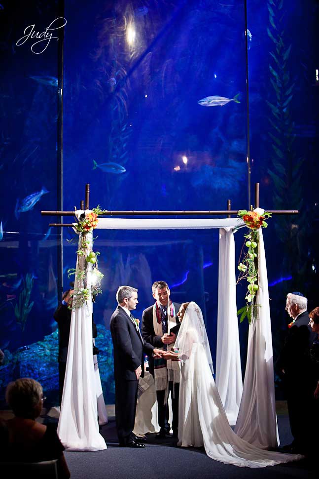 Aquarium of the Pacific Jewish Wedding Ceremony