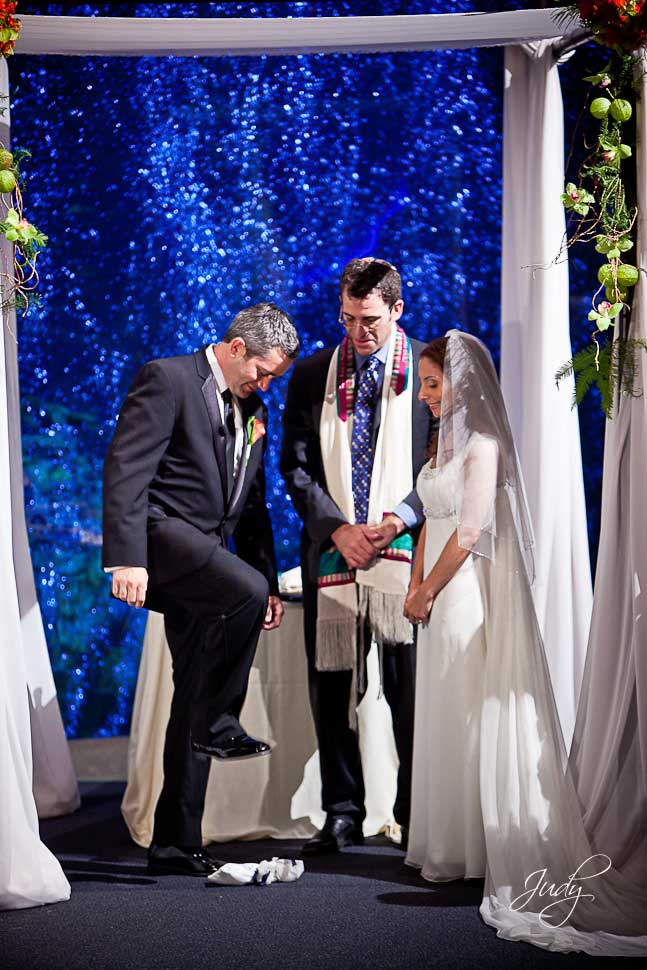 Aquarium of the Pacific Wedding Ceremony