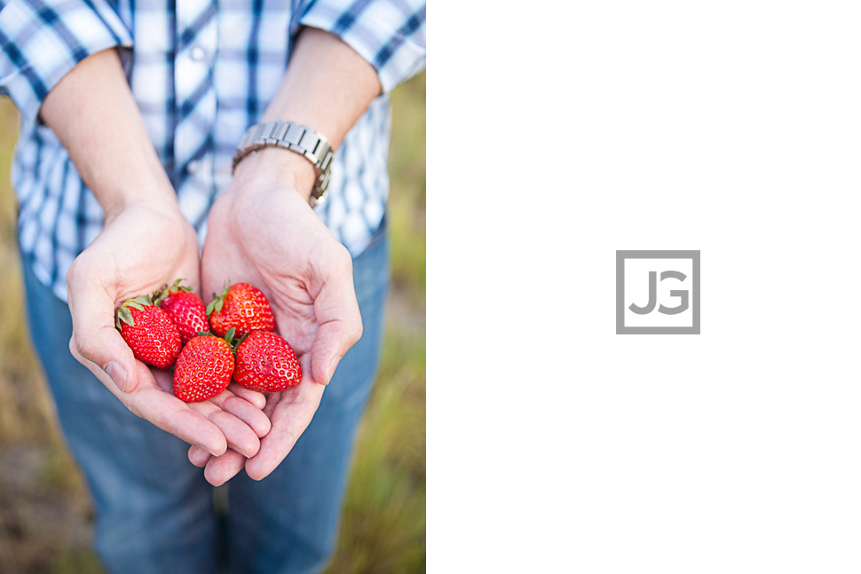 Pasadena Engagement Photos Picnic in a Field
