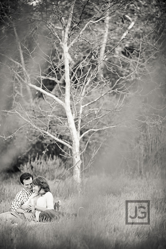 Pasadena Engagement Photos Picnic in a Field