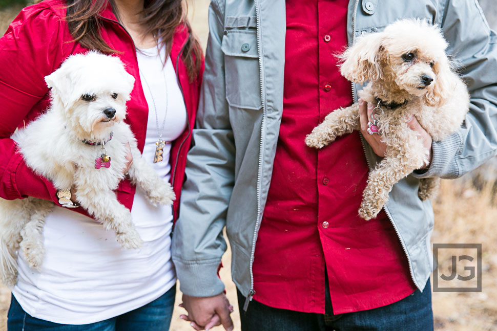 Azusa Canyon engagement photography with Dogs