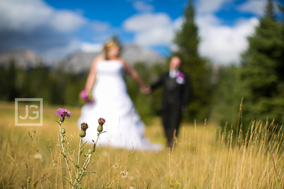 Banff Wedding Photography