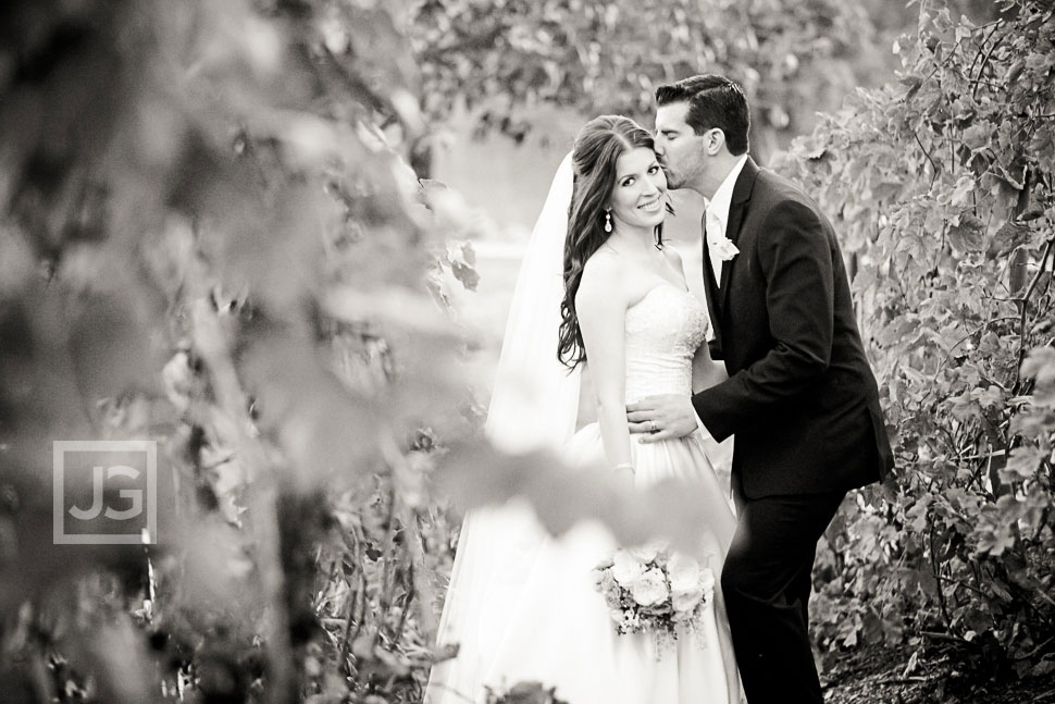 Bella Collina Vineyards Wedding Photo