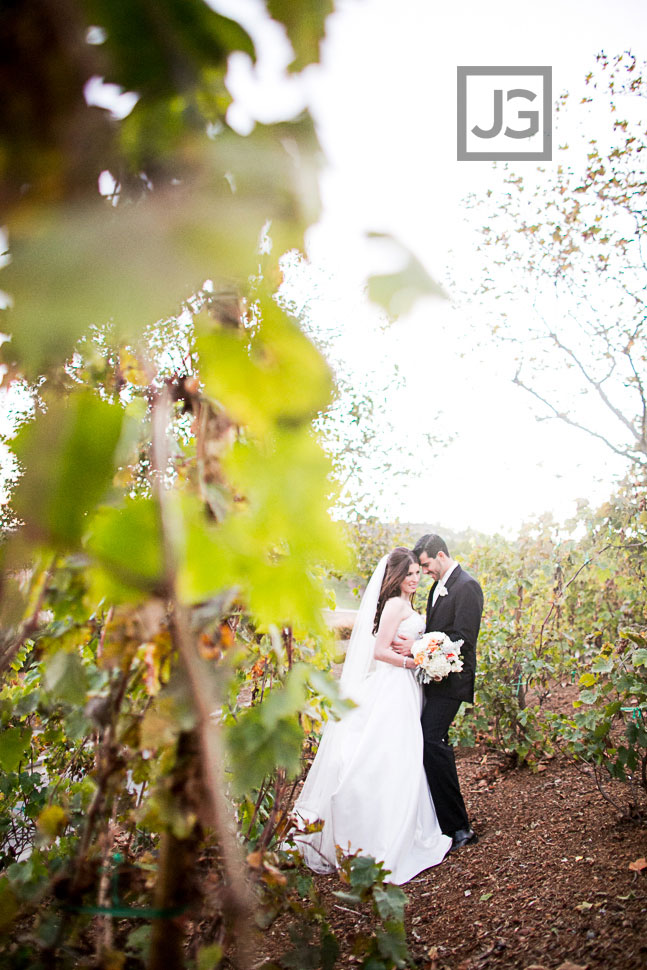 Bella Collina Vineyards