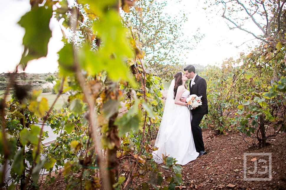 Bella Collina Vineyards