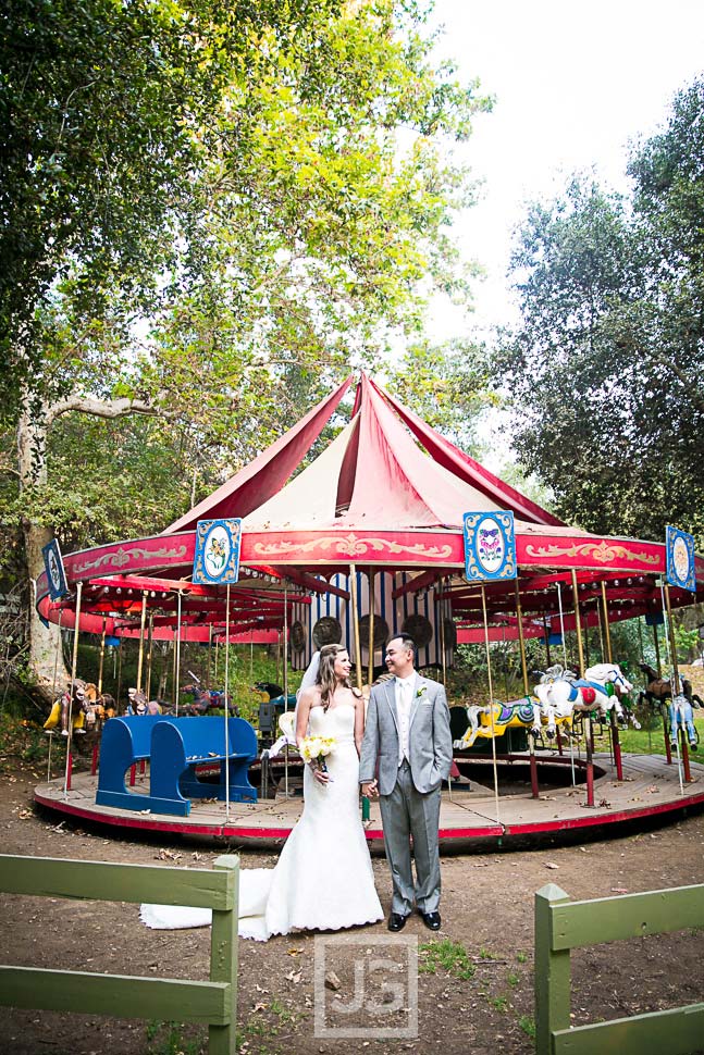 Merry-Go-Round Wedding Photos