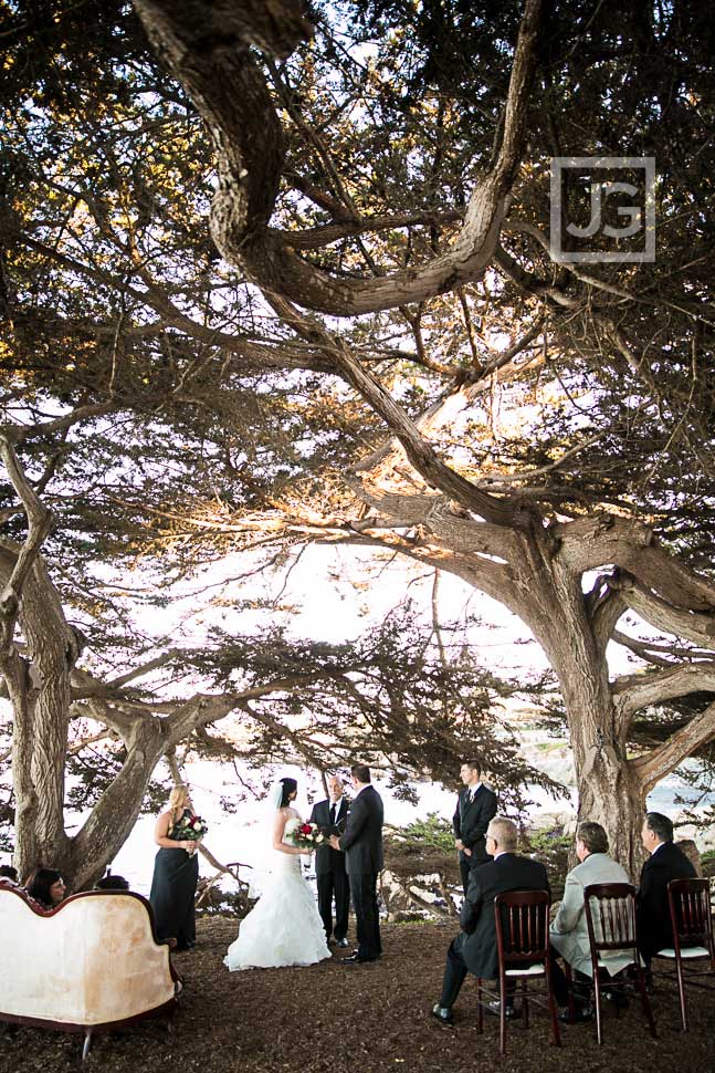 Berwick Park Pacific Grove Wedding Ceremony