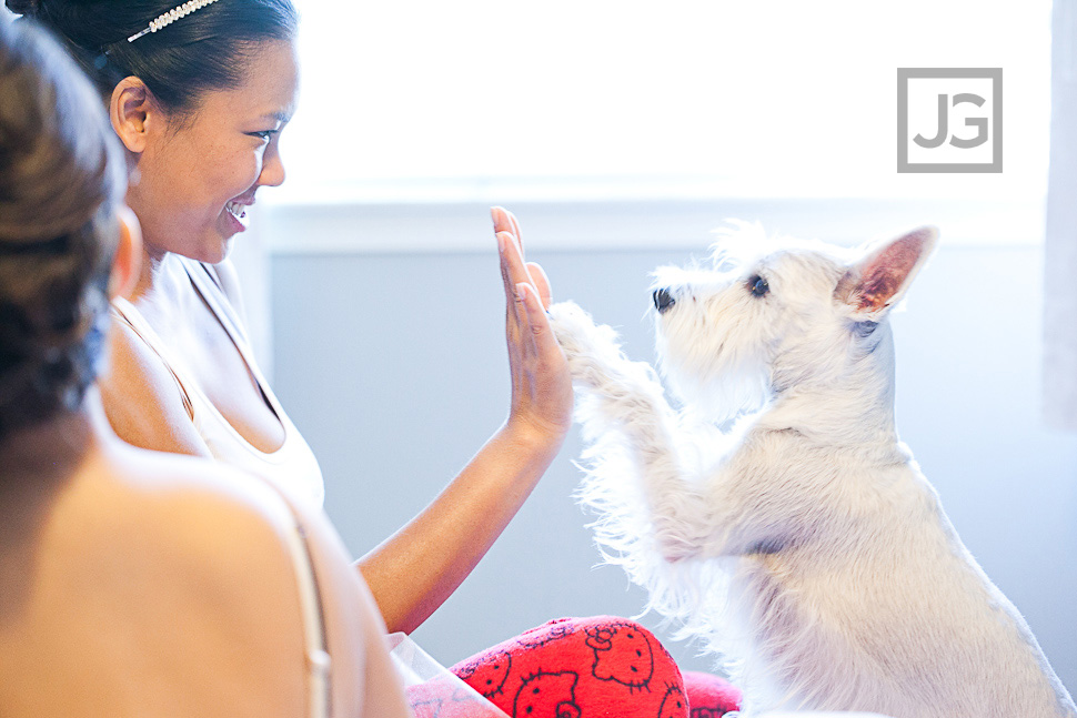 Wedding Bride with her dog