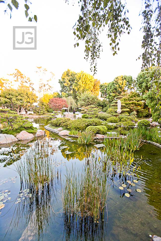 CSULB Japanese Gardens