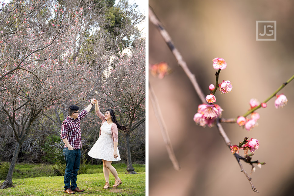 Schabarum Park Cherry Blossoms