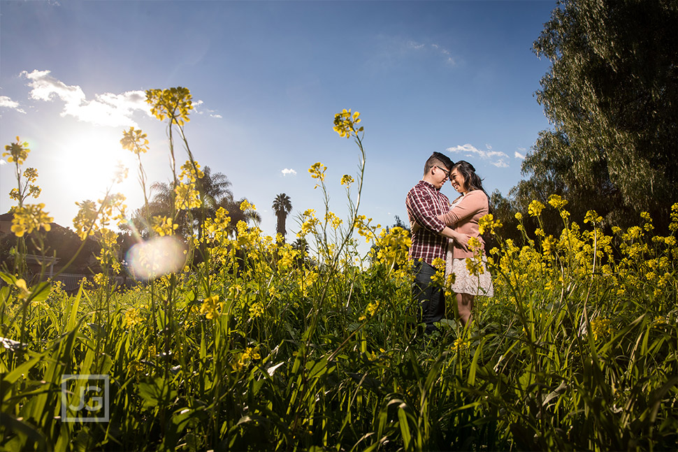 Yellow Flowers engagement photo with a blue sky