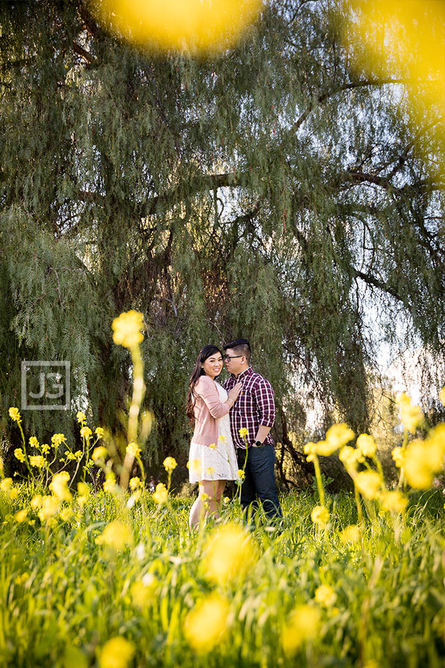 Yellow Flowers 