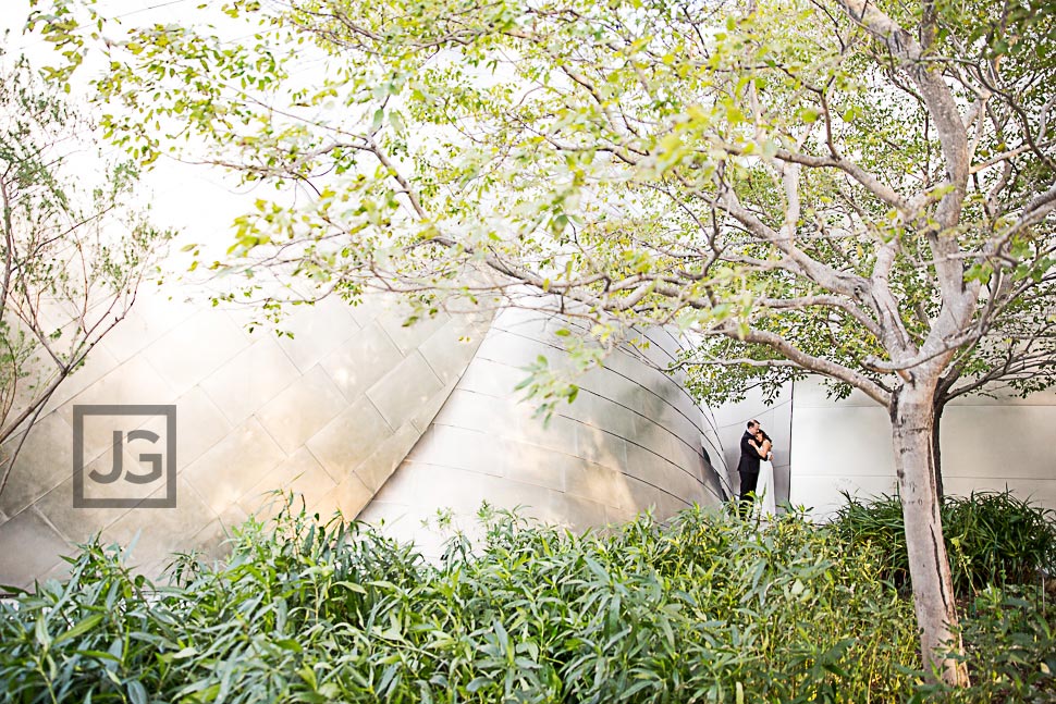 Walt Disney Concert Hall with Trees