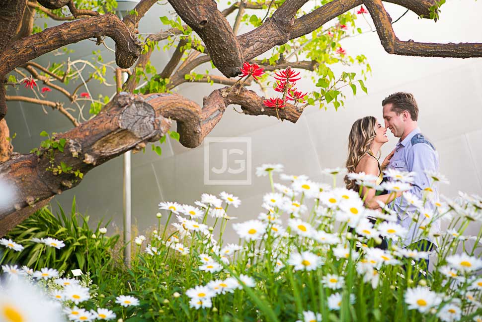 Walt Disney Concert Hall Engagement Photography