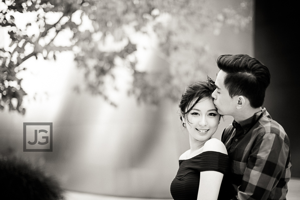 Walt Disney Concert Hall Engagement Photography
