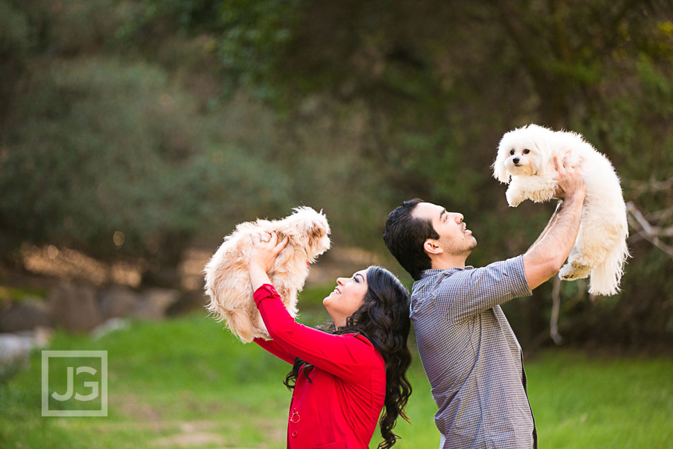 Engagement Photos with Dogs