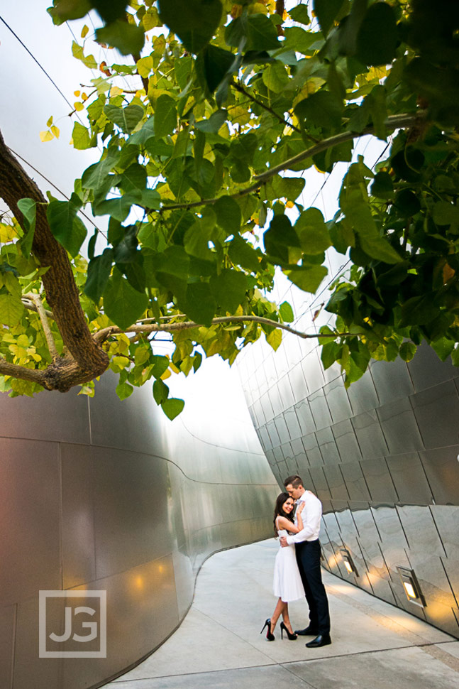 Walt Disney Concert Hall Engagement Photos