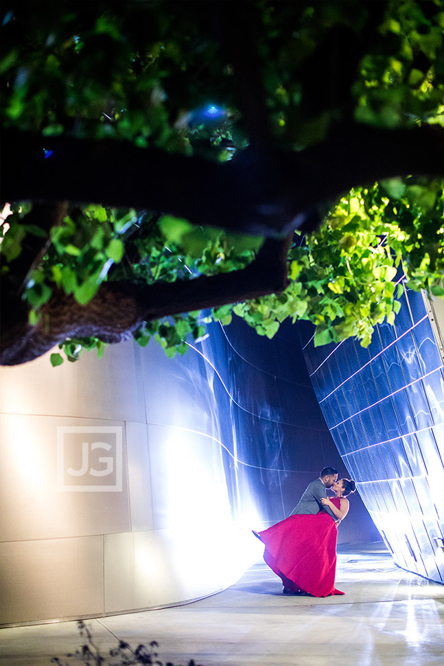 Walt Disney Concert Hall Engagement Photo at night