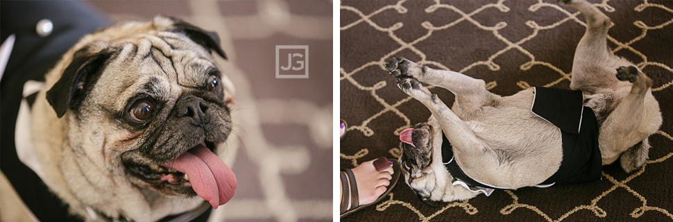four-seasons-beverly-hills-wedding-photography-0011