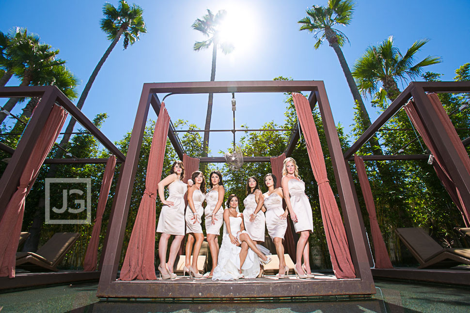 Bridesmaids Wedding Party Photos