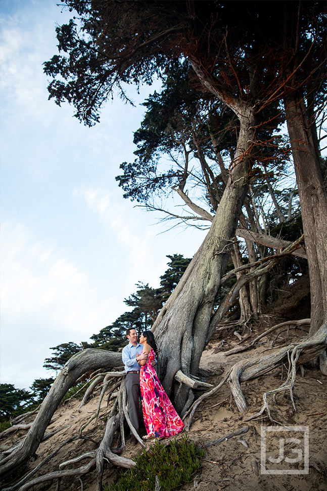 Exposed tree roots engagement photography