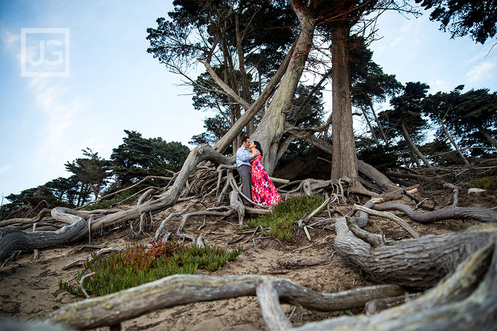 Exposed tree roots engagement photography san francisco