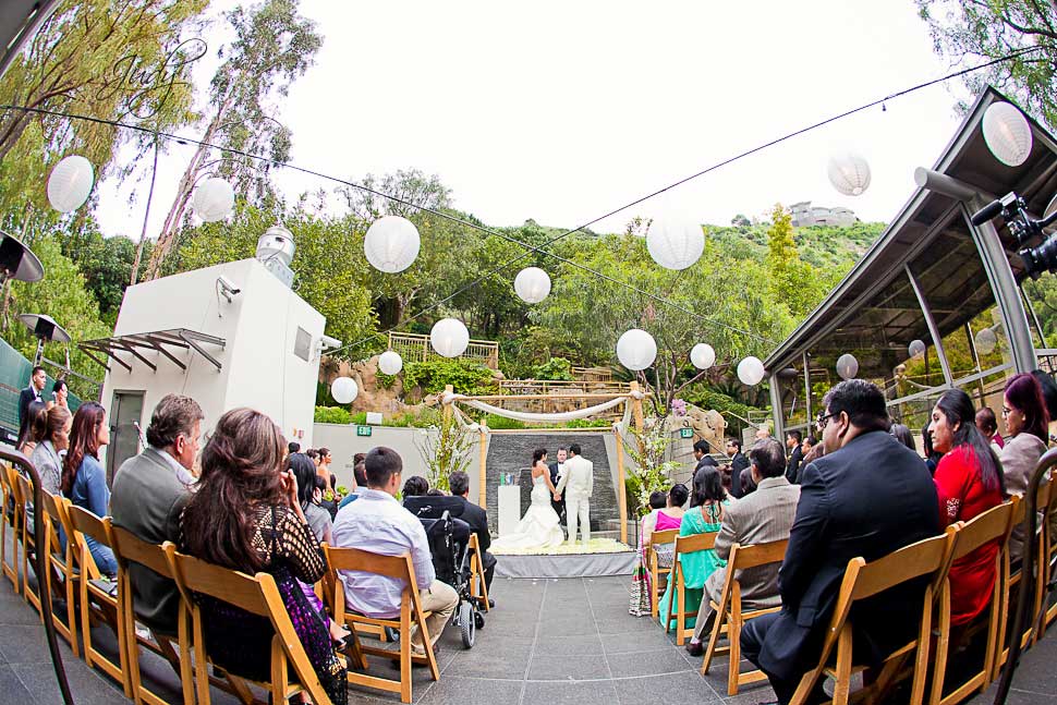 7 Degrees Wedding Photography
