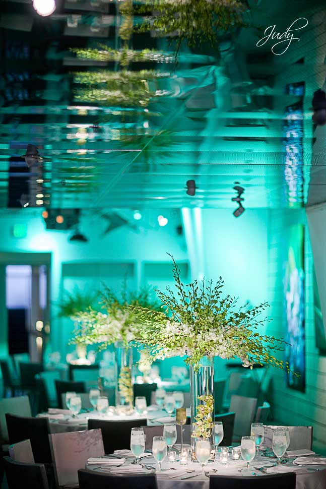 7 Degrees Wedding Reception