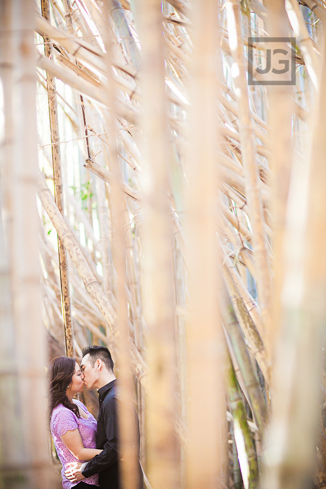 Los Angeles Arboretum Engagement Photography