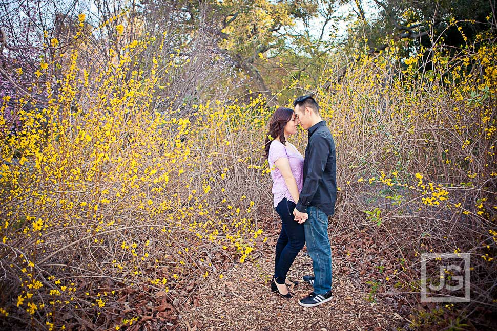 Los Angeles Arboretum Engagement Photos
