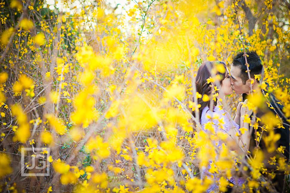 Los Angeles Arboretum Engagement Photography