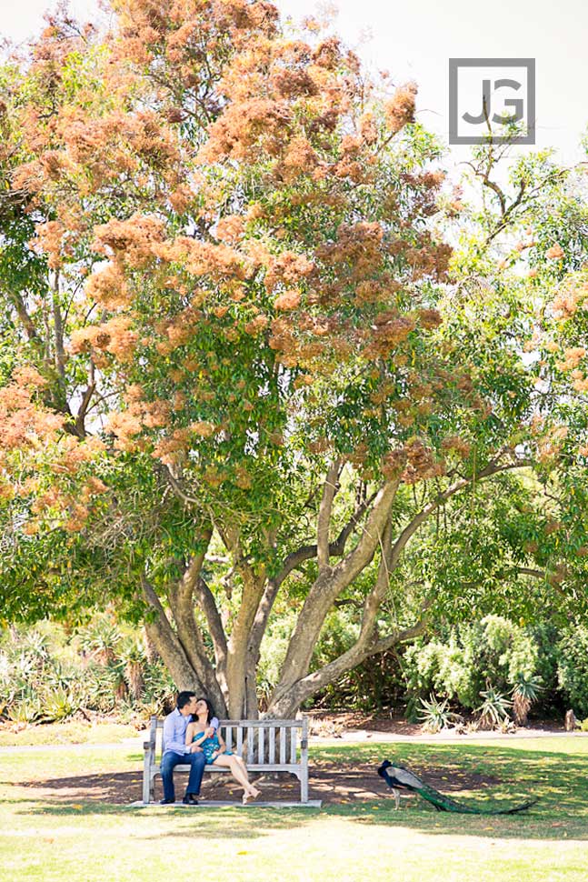 La Arboretum Engagement Photos