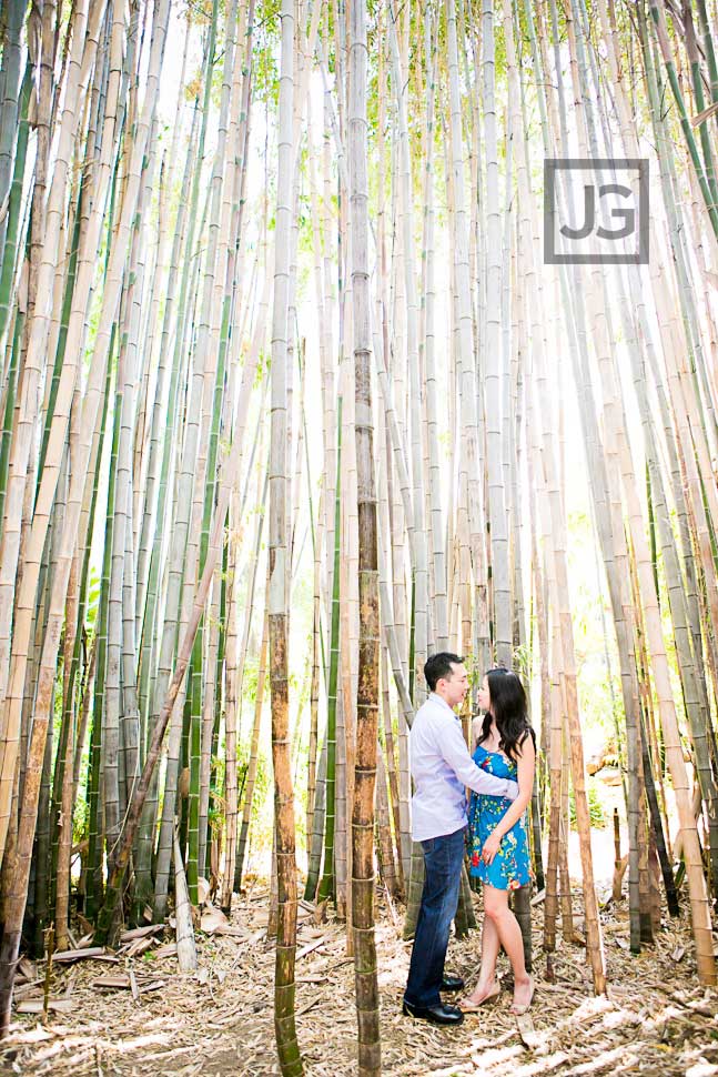 Engagement Photos with Bamboo