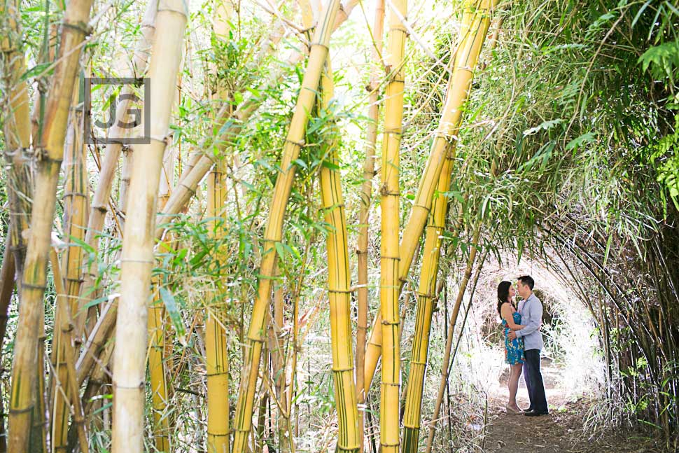 Engagement Photos with Bamboo