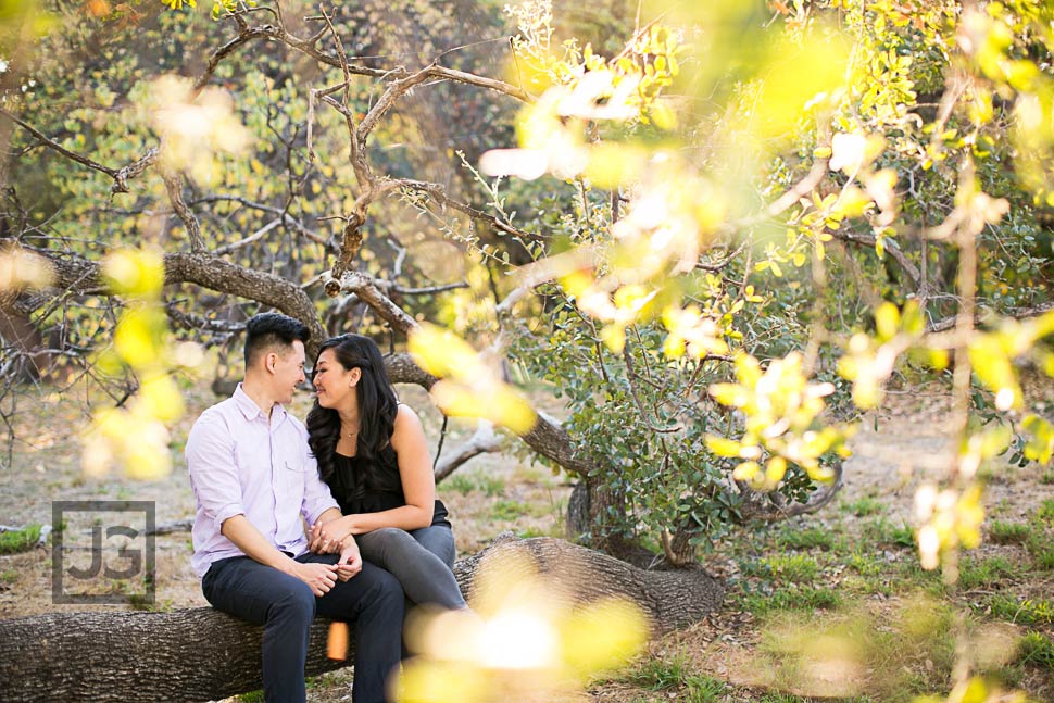 Los Angeles County Arboretum 