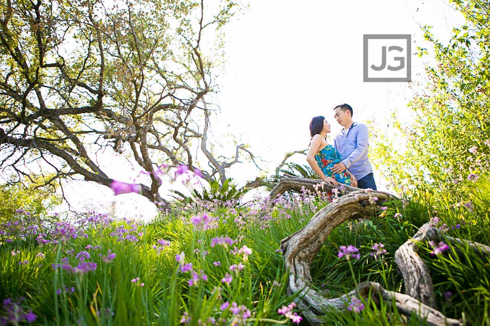 Engagement Photos Los Angeles Arboretum
