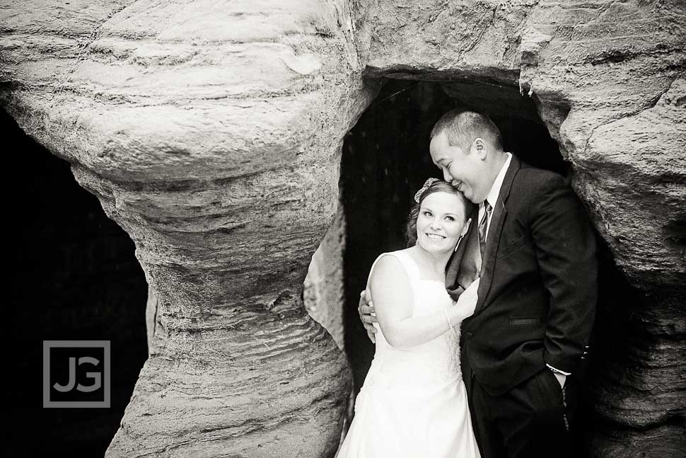 La Jolla Cove Wedding Photography