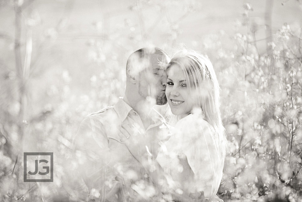 Open Field Engagement Photography