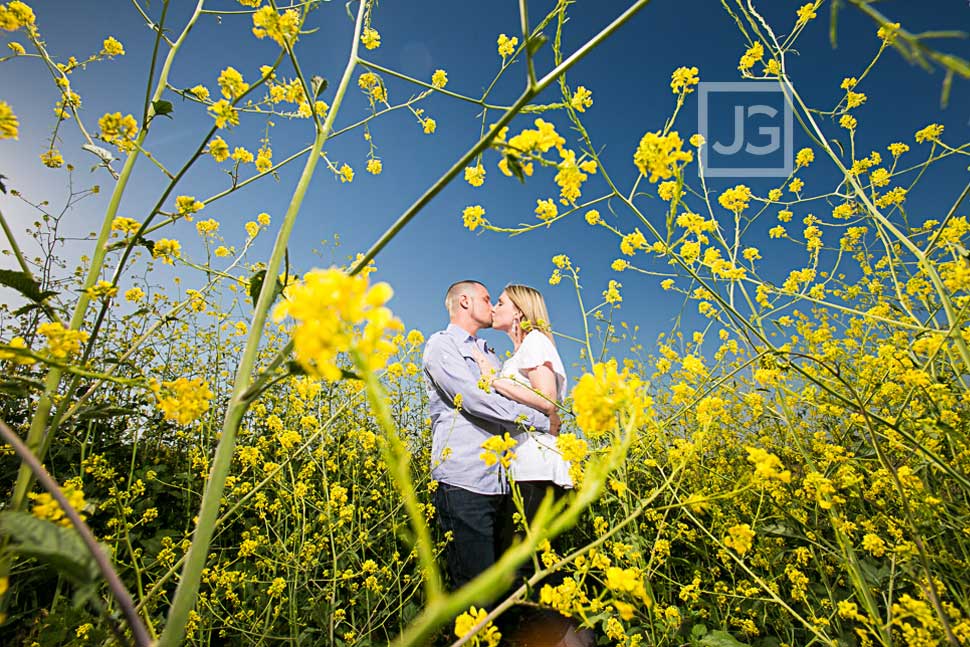 Yellow Flower Field Engagement Photos